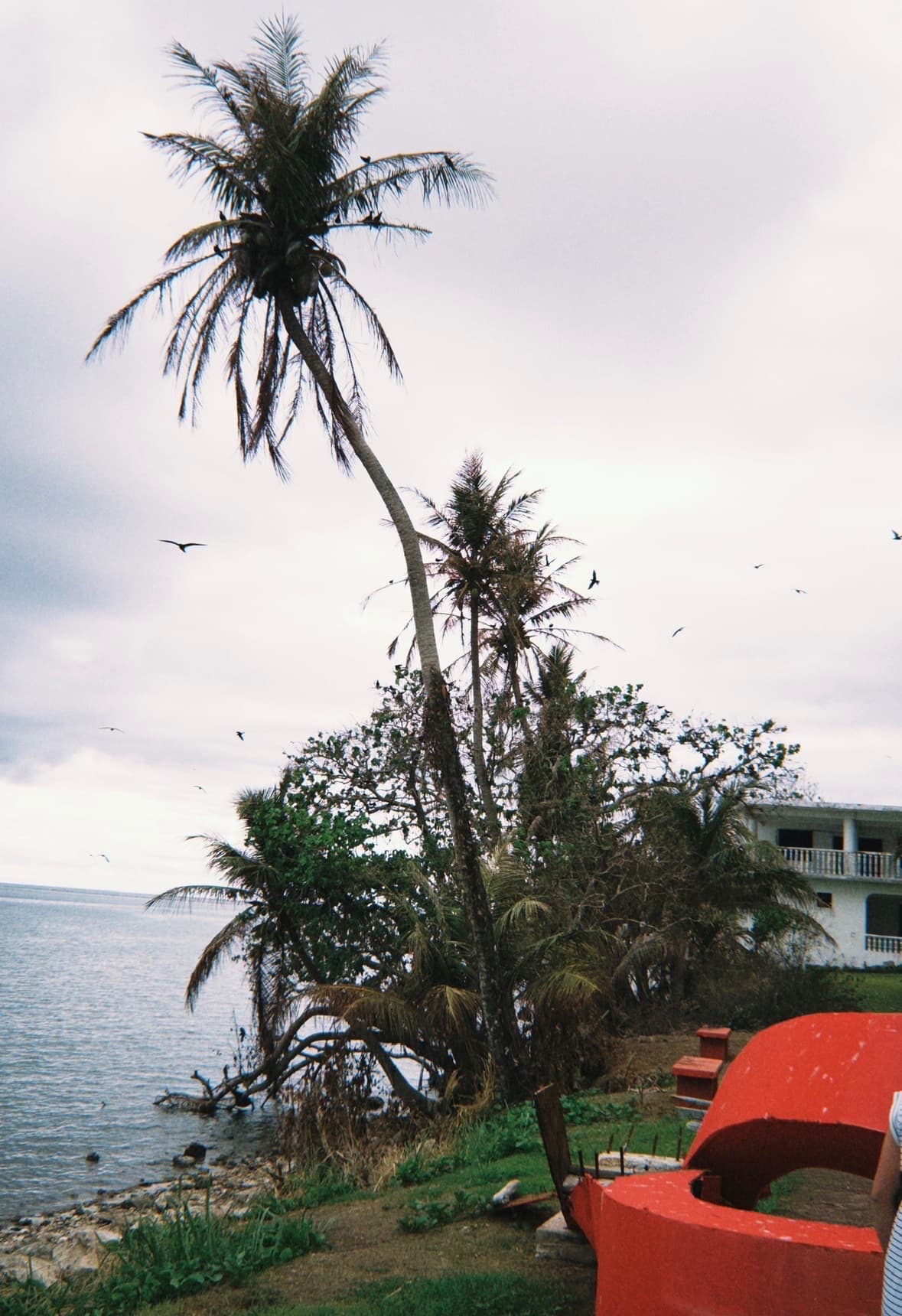 Guam — photo 11